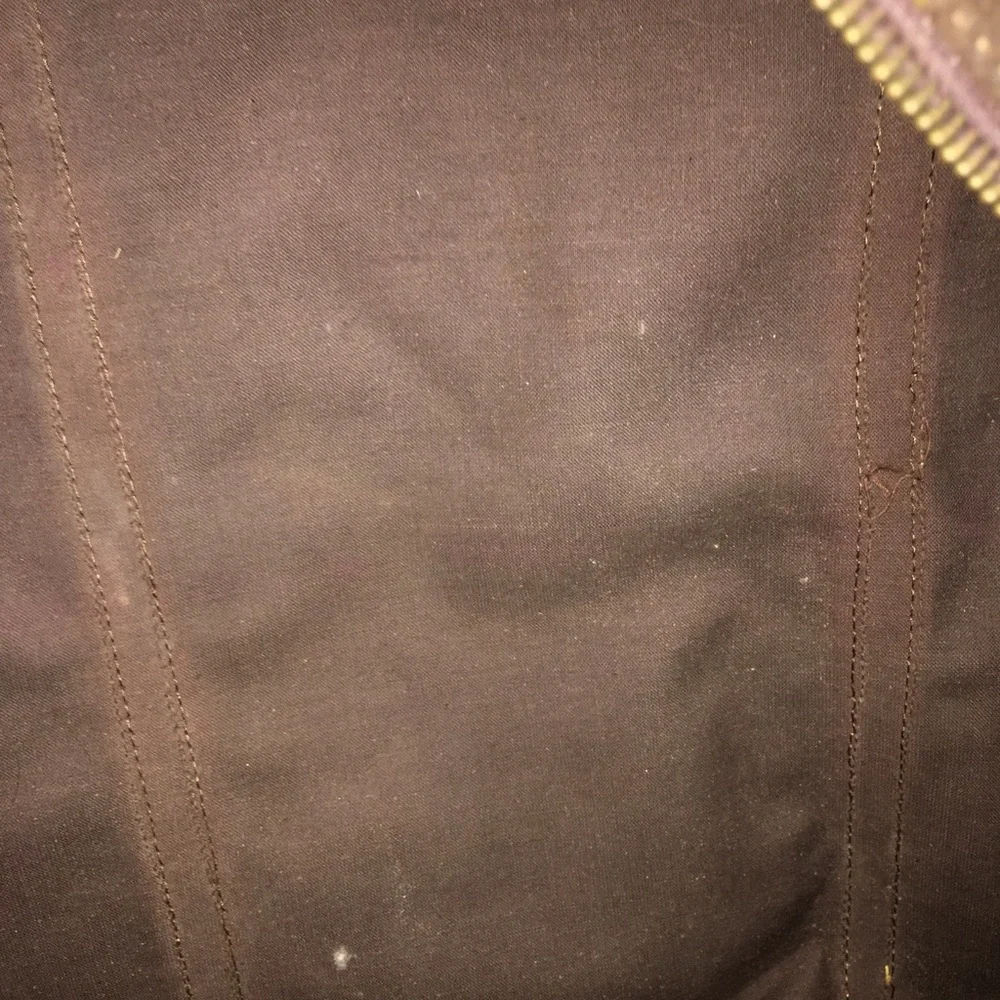 1980’s LV logo garment bag
